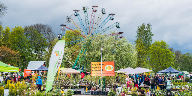 Plant parade and golden autumn in Sigulda