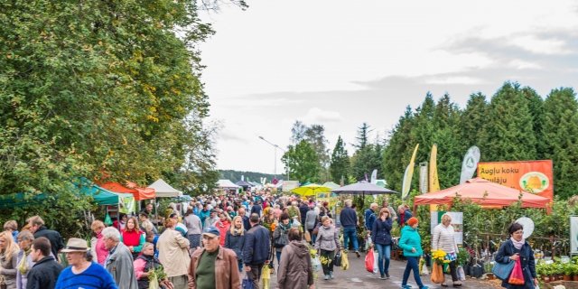 Autumn Plant Parade 2018